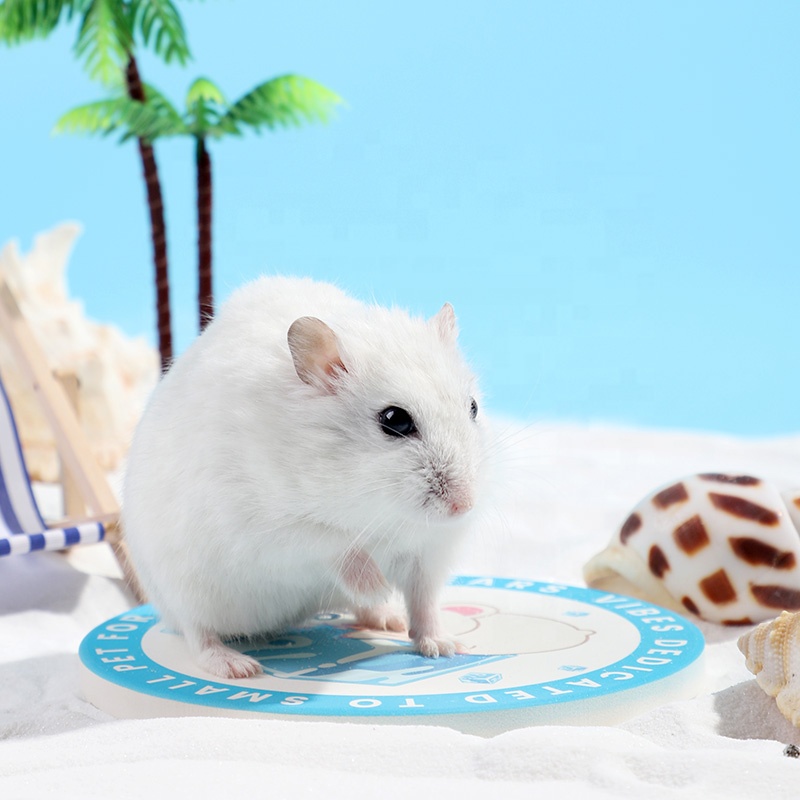 Hot Selling Summer Pet Bed Cooling Bed Hamster Ceramic Rabbit Guinea Pig Hamster Ice Cushion