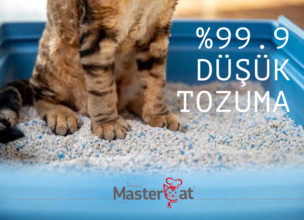 Marseille 10L Bentonite Cat Litter High Quality Fast Clumping MasterCat Sand Natural Fragrance Wholesale Soup Scented PP Tofu