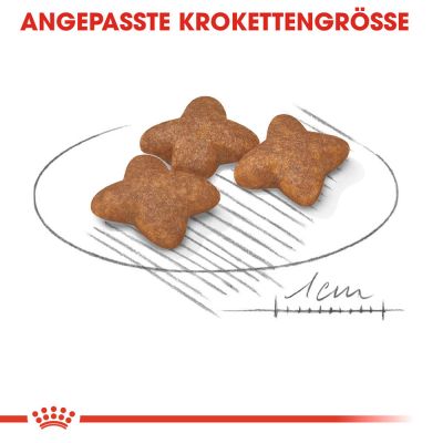 Royal Canin Feline Fit 32 2 kg / 4kg/5kg/7kg/10kg/15kg