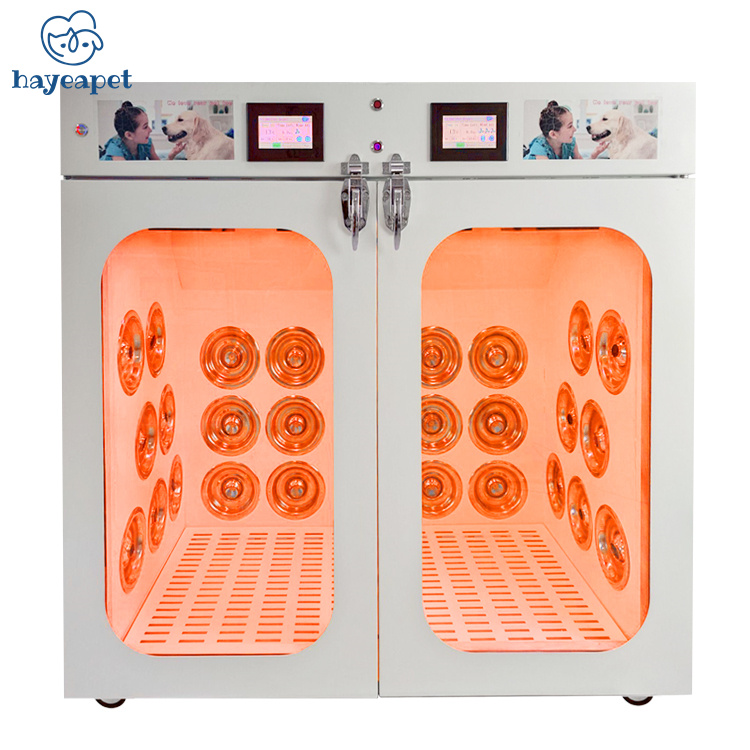 Manufacture Medical PLHG-A03 Hot Sale High Quality Automatic Pet Drying box Room
