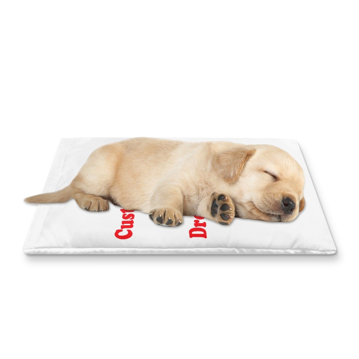 Print On Demand Custom Summer Pet Cooling Mat Dog Ice Cooling Bed Breathable Sleeping Pad Wholesale High Quality Teddy Mattress