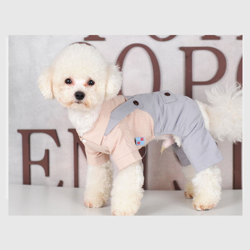 Wholesale Customized Pet Dog Clothes 2020 New autumn winter Stay warm pet costume