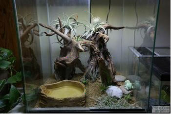 Azalea Root SHANDA aquarium accessories Aquarium Natural Root decoration for plant