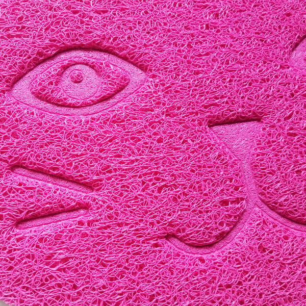Pet products pvc litter trapper mat plastic door mat anti slip pvc soft carpet
