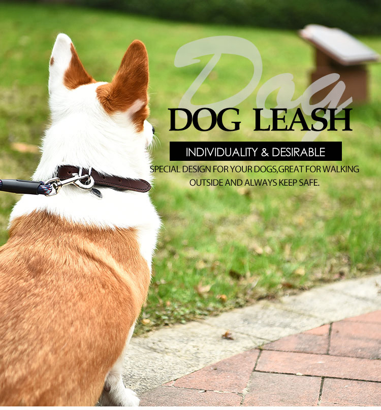 Black P Rope Durable Newest Nylon Pet Rope Dog Leash Prevent Dogs from Bursting