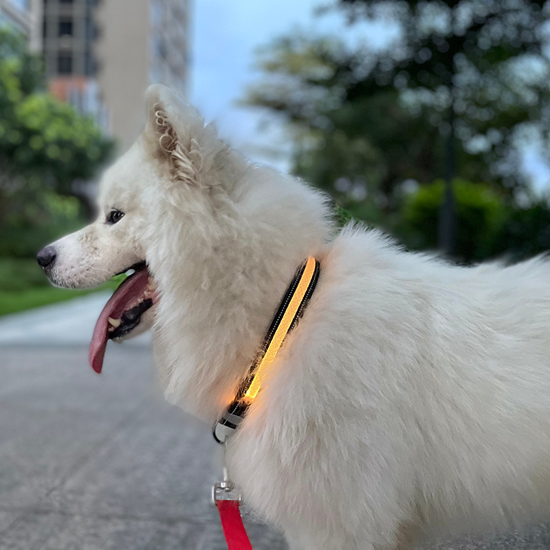 App Remote Control OEM Lamp Color Quick Release Reflective Safety LED Collar for Dogs