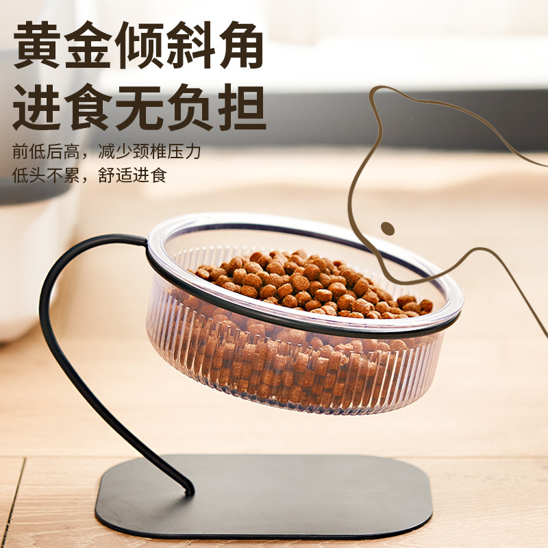 Custom Orthopedic 15 Tilted Stand Feeder Wholesale Abs Plastic Small Dogs Puppy Water Feeding Raised Food Elevated Cat Bowl