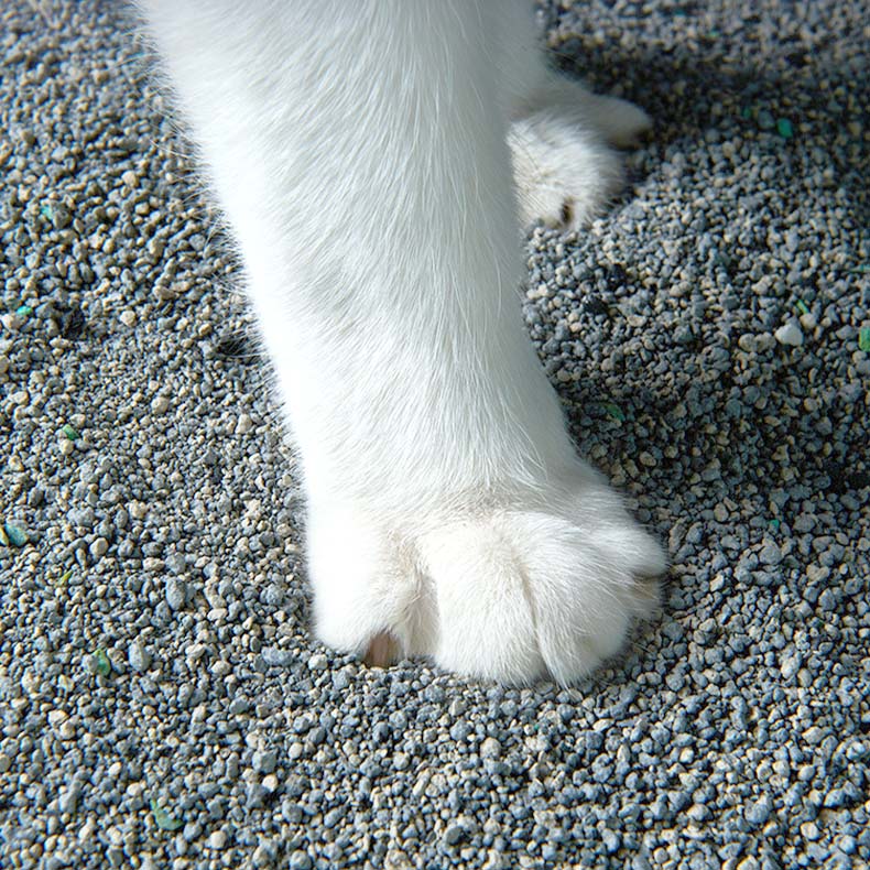 Bentonite Clay Zeolite Clumpy Litter 25L Bulk Sodium Cat Litter with Deodorization Process