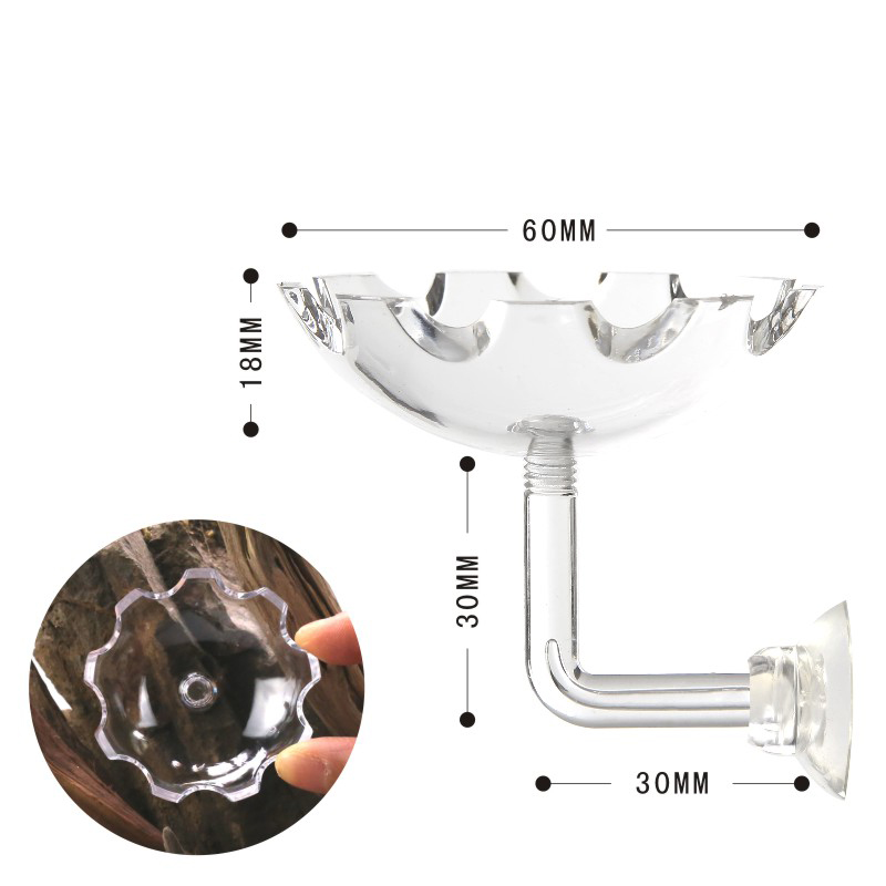 Aquarium Accessories Acrylic Shrimp Feeder Fish Bowl Plastic Tanks for Fish Farming Transparent Sustainable E-commerce Stores