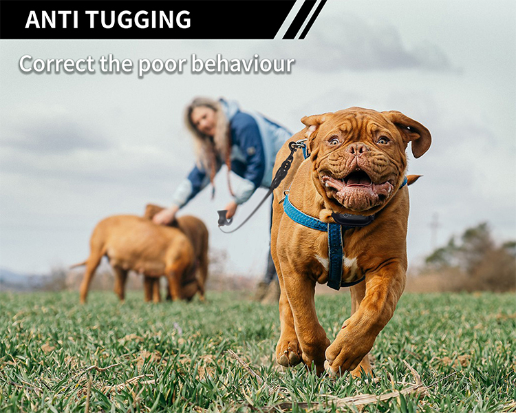 Pet Training Products Remote Vibrating Dog Training Collar anti bark collar