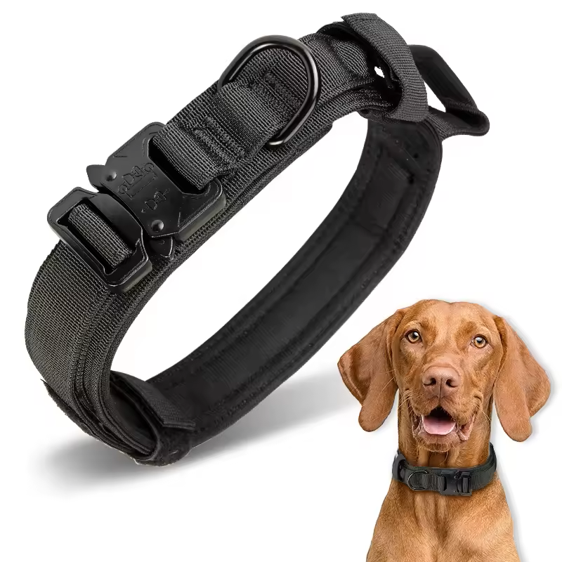 Factory High Quality Heavy Duty Metal Buckle Pet Dog Training Collar Large Dogs Collar And Leash Set Tactical Dog Collar