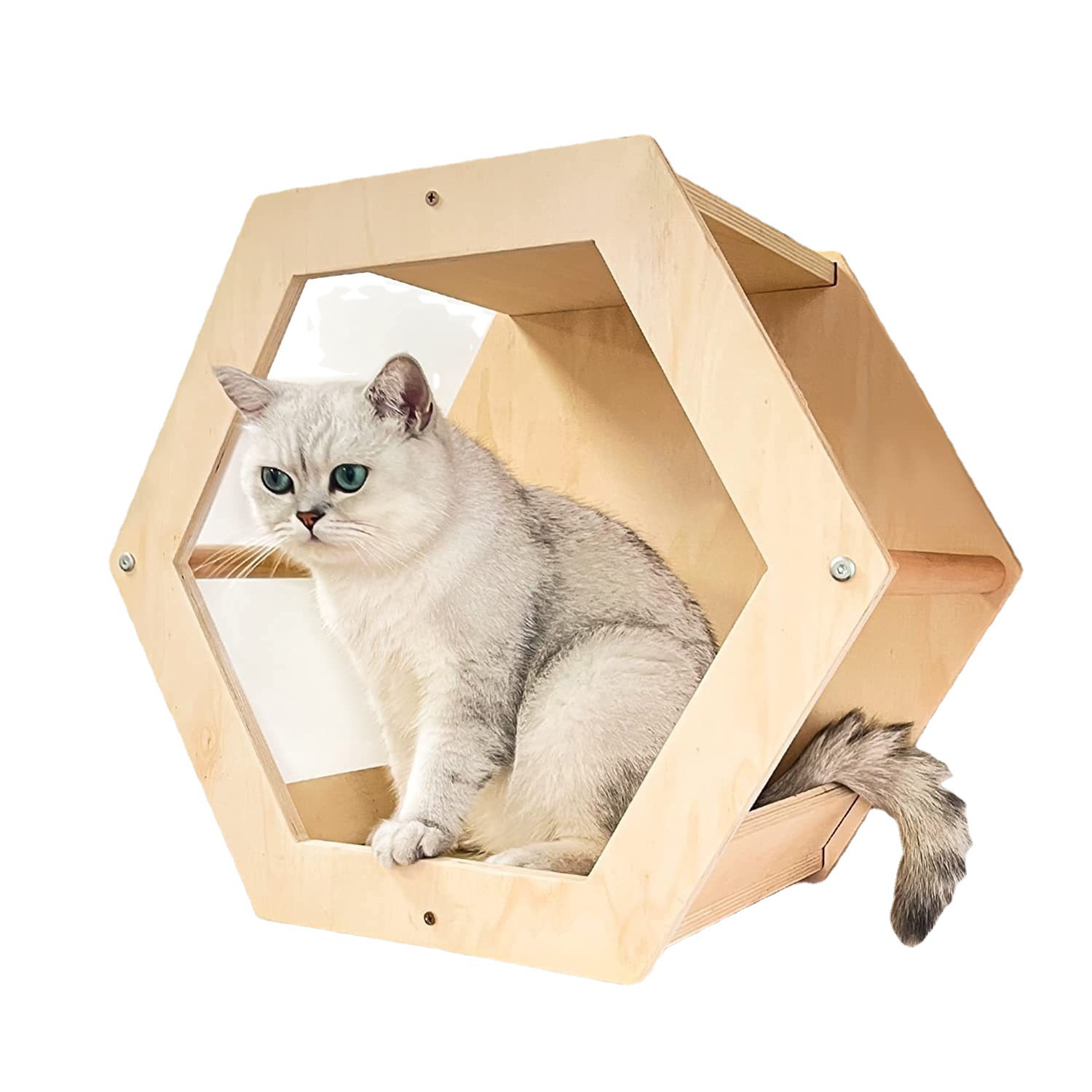 Indoor cat rack Hexagonal cat nest wooden wall-mounted cat apartment with ladder