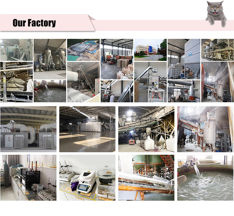 Chongci Dust free eco-friendly natural plant cat toilet flushable cassava cat litter clumping Garfield Cat Litter
