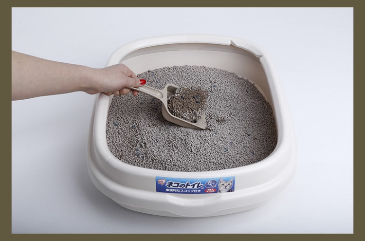 Wholesale Natural Wood Cat Litter Promotional Quick Clumping Granules Wood Pellets Cat Mat Litter