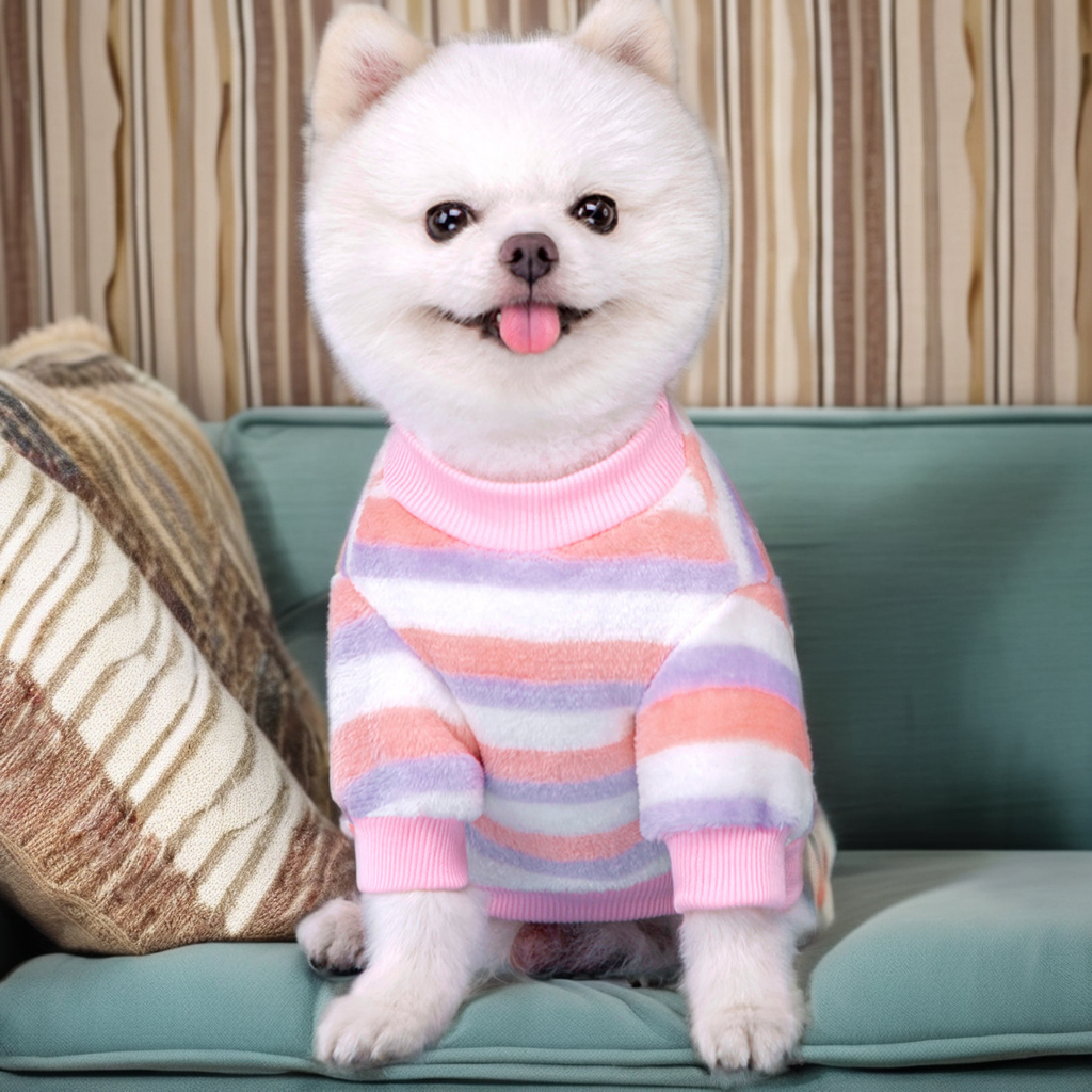 Autumn Spring Pet clothing Luxury Custom Pet Dog Hoodie Clothes Pet Sweatshirt