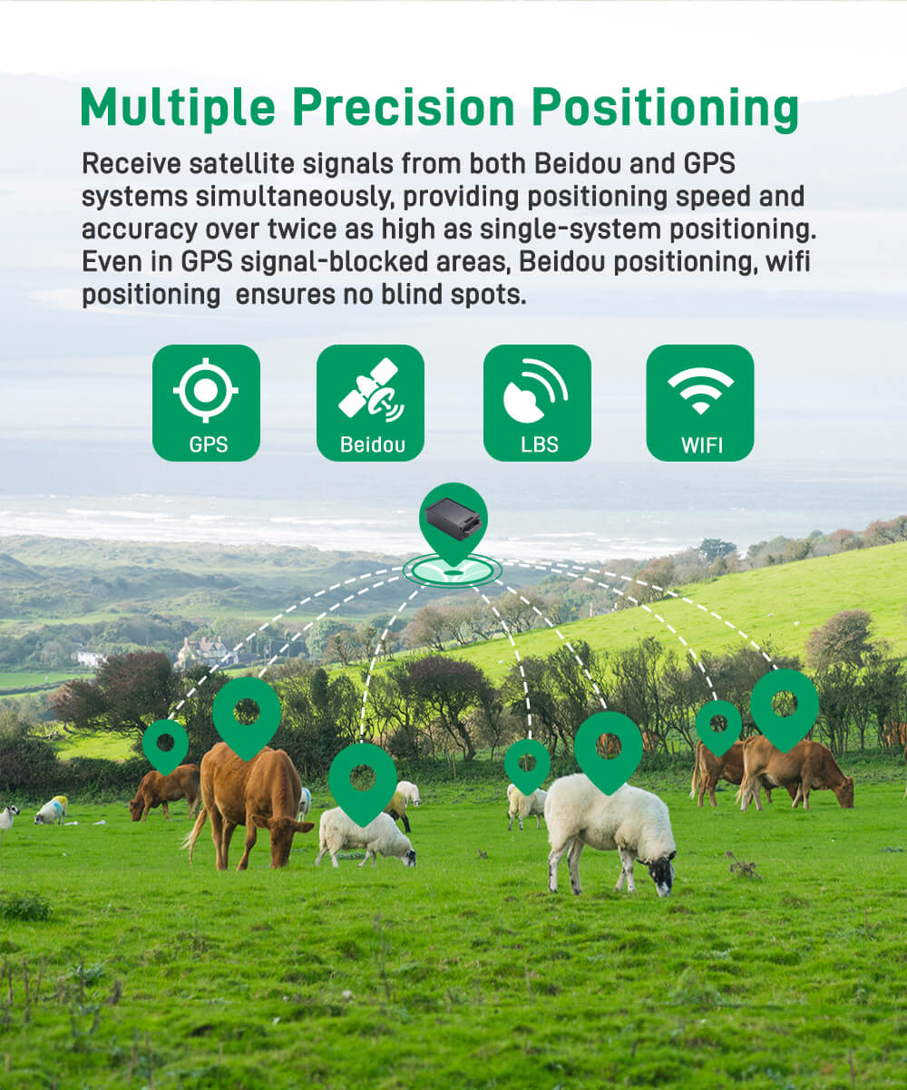 High Accuracy 4G Cow Gps Smart Farm Waterproof Gps Tracker Using Animal Cattle Tracking Device Gps