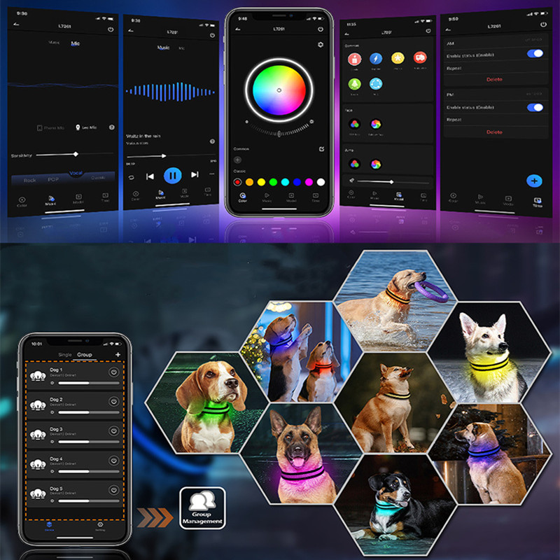 App Remote Control OEM Lamp Color Quick Release Reflective Safety LED Collar for Dogs