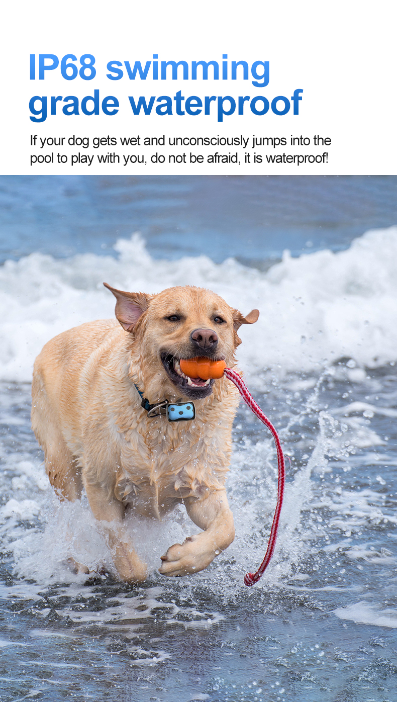 Locsmart D87 IP67 Waterproof Mini GPS Cats Collars Dog With Long Battery Life Pet Tracker
