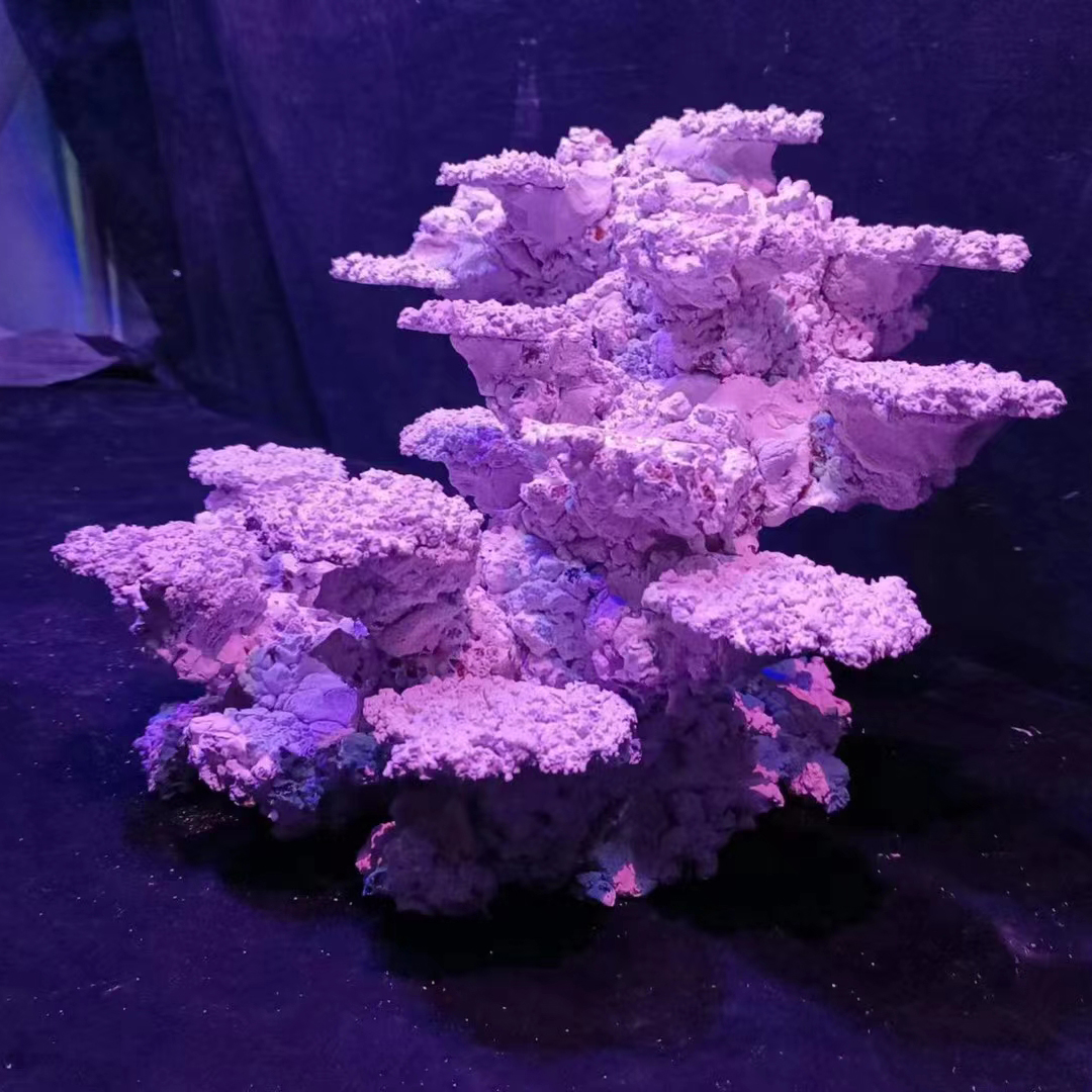 Custom Made 60cm Fish Tank Aquarium Decoration Aquascaping Stone Rock for Sale