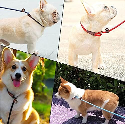 Pet Supplies Cheap P Type Anti-choking Dog Leash Collarless Leash Optional Color 3 in 1 Scarf Pvc DOT Reflective CN ZHE