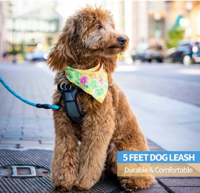 Pet Supplies High Reflective Dog Leash,with Comfortable Handle,best for Medium Dogs with Leather DOT Nylon Rope Dog Leash CN;ZHE