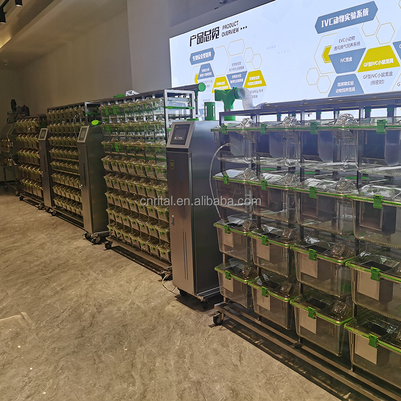 individual ventilated cage pet Plastic equipment for rabbit cat monkey rat mouse Laboratory Animal cage IVC