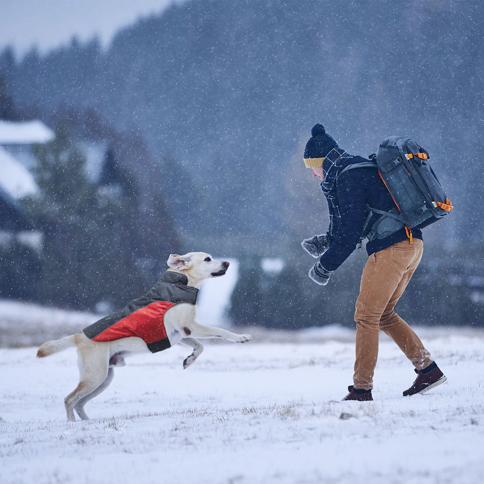 Factory direct simple winter windproof waterproof pet dog clothes comfortable breathable dog warm cotton undershirts