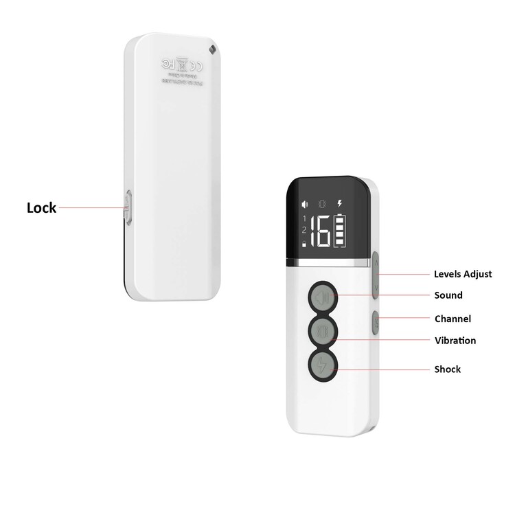 New Product Ideas 2022 Dog Training Equipment Magnetic Charging Remote Electric Dog Training Collars for 2 Dogs