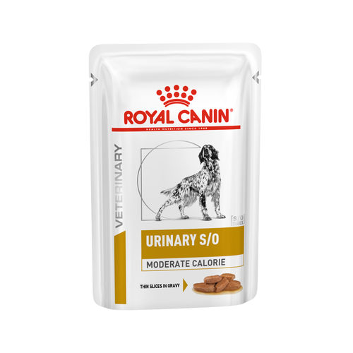 Royal Canin Feline Fit 32 2 kg / 4kg/5kg/7kg/10kg/15kg
