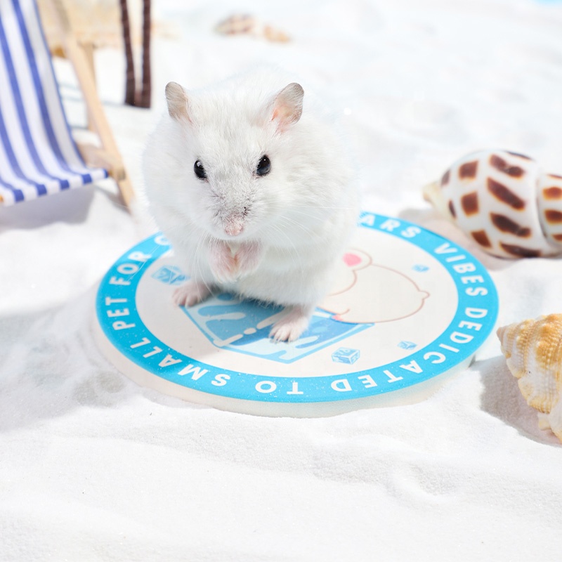Hot Selling Summer Pet Bed Cooling Bed Hamster Ceramic Rabbit Guinea Pig Hamster Ice Cushion