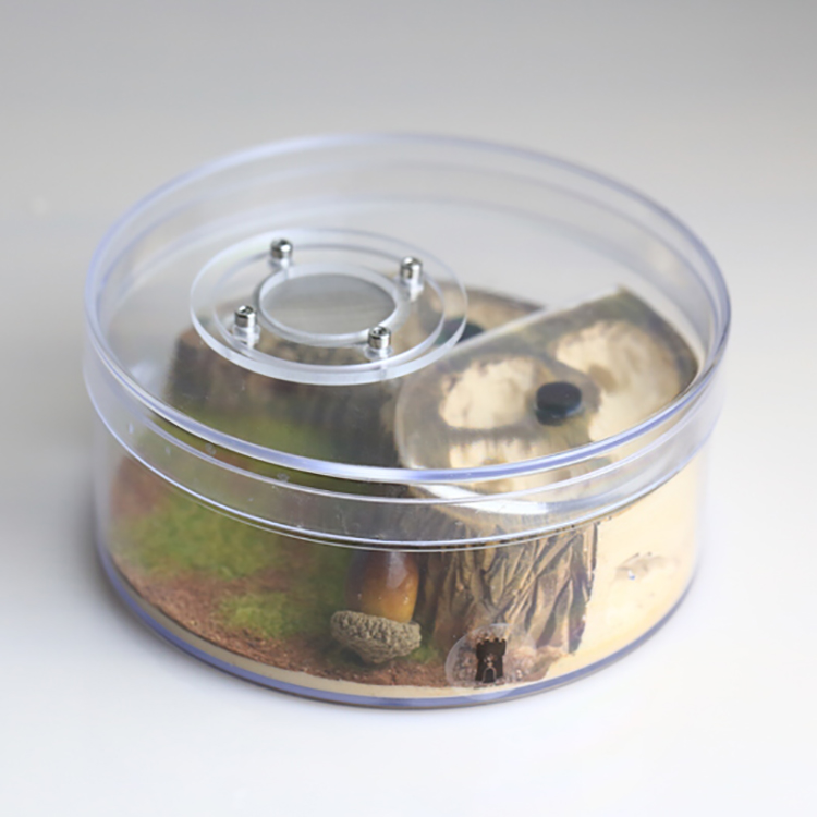 Colony Observation Circular Design Formicarium for Ants