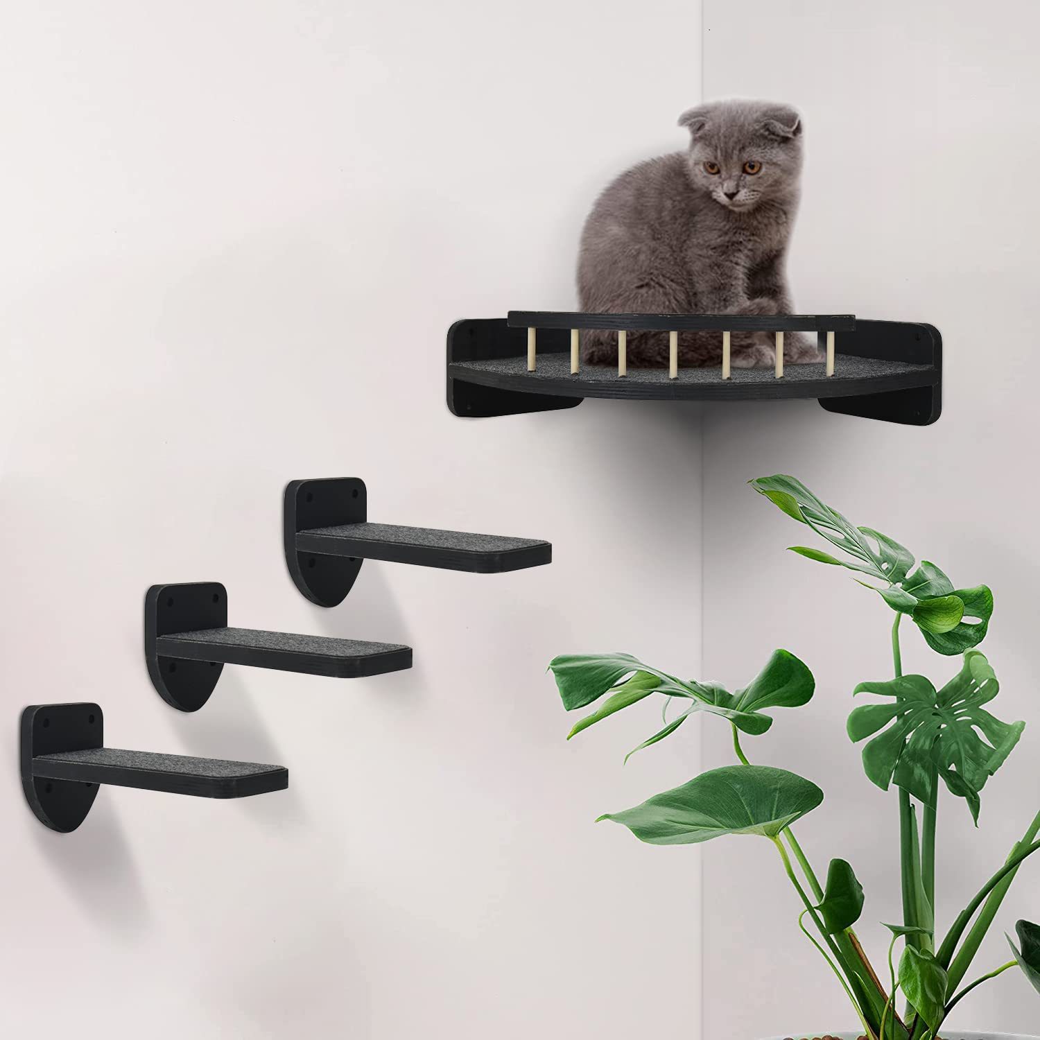 Cat hammock ledges wooden walls for cats to perch on