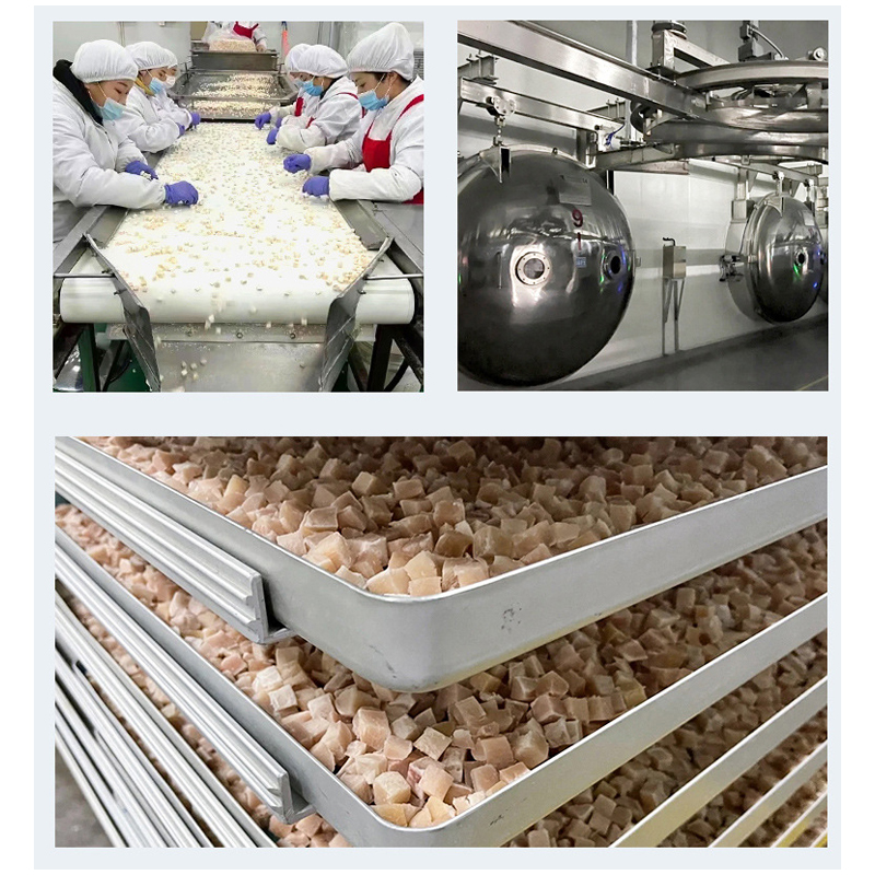 OEM Pet Treats Wholesalers High Quality Natural Diced Chicken Fish Duck Meat High Protein Freeze Dried Cat Food