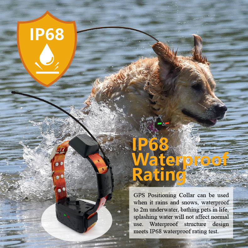 pets GPS tracker automatic answer a call GPS WIFI LBS real-time location support 4G 3G 2G SIM card dog tracking devices