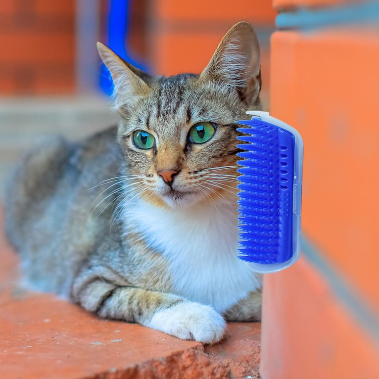 2024 Custom hot selling pet supplies pet cat corner hair scrubber factory directly wholesale