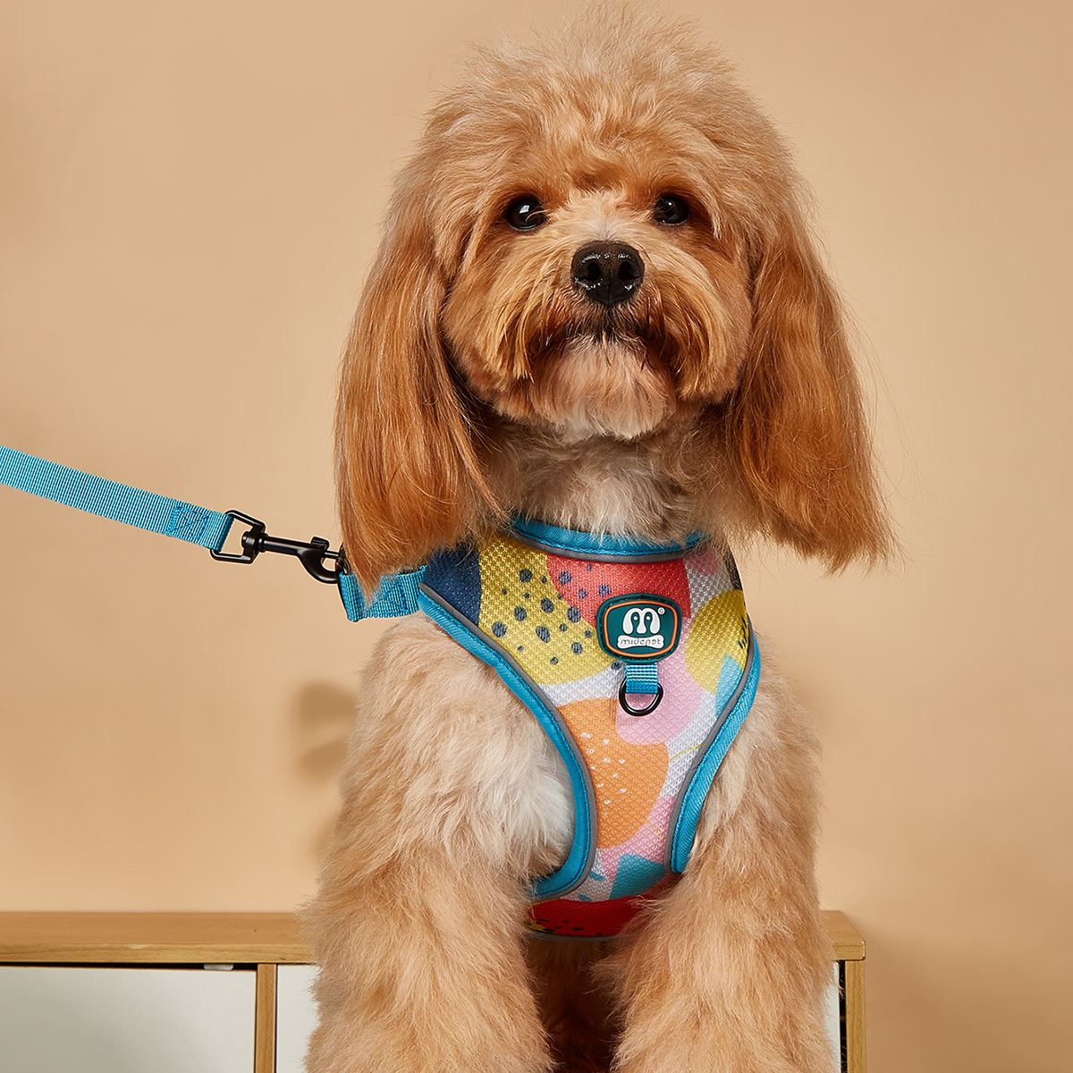 MIDEPET Own Brand In Stock Drop Shipping Accept Pet Product Supplier Dog Harness And Leash Set