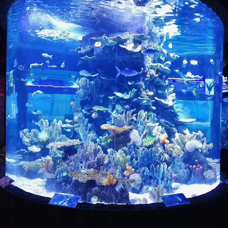 Hot sale factory wholesale direct price Large Cylinder Acrylic Fish Aquarium For Sale