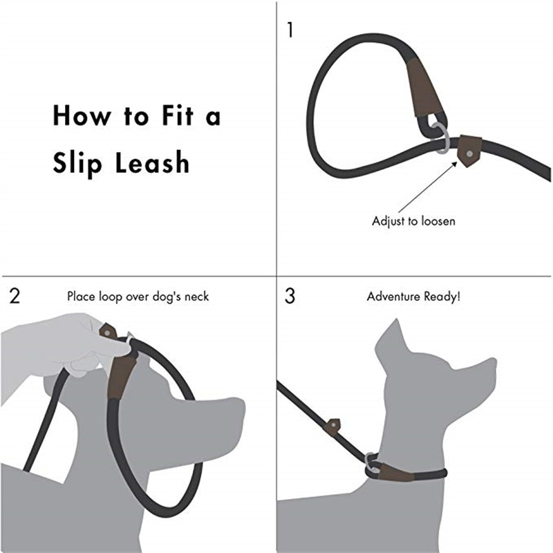 Extremely Durable Dog Leash Premium Quality Mountain Climbing Rope Lead Dog Leash For Walking Dog