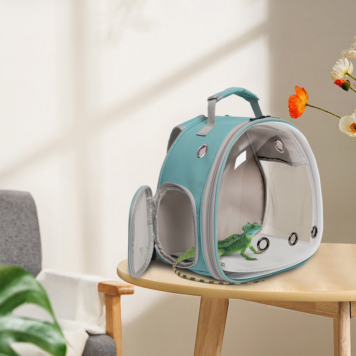 Factory Direct Sale Lizards Carrier Small Animal Travel Carrier For Hedgehog Rat Parrot Bird