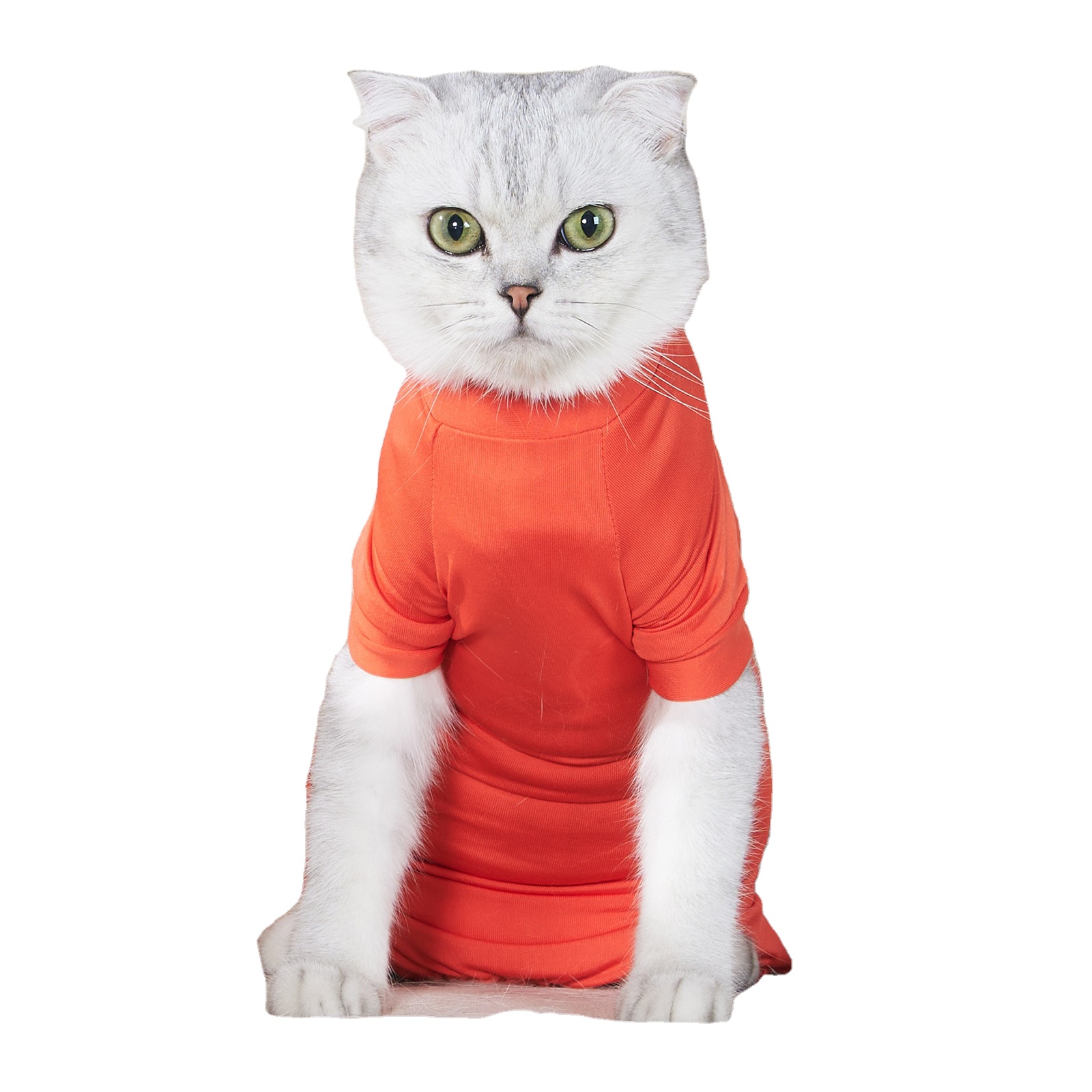 Summer Pet Surgical Clothing Cat Vest for Preventing Shedding & Postoperative Recovery Weaning Suit for Cats