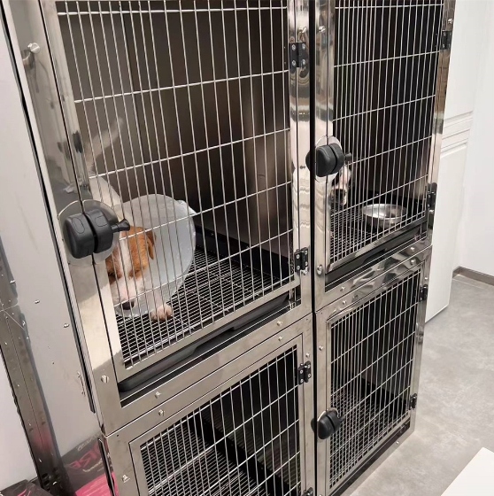 Several rooms 3 layer Dog Cage Manufacturers Large Pet dog Breeding Cage