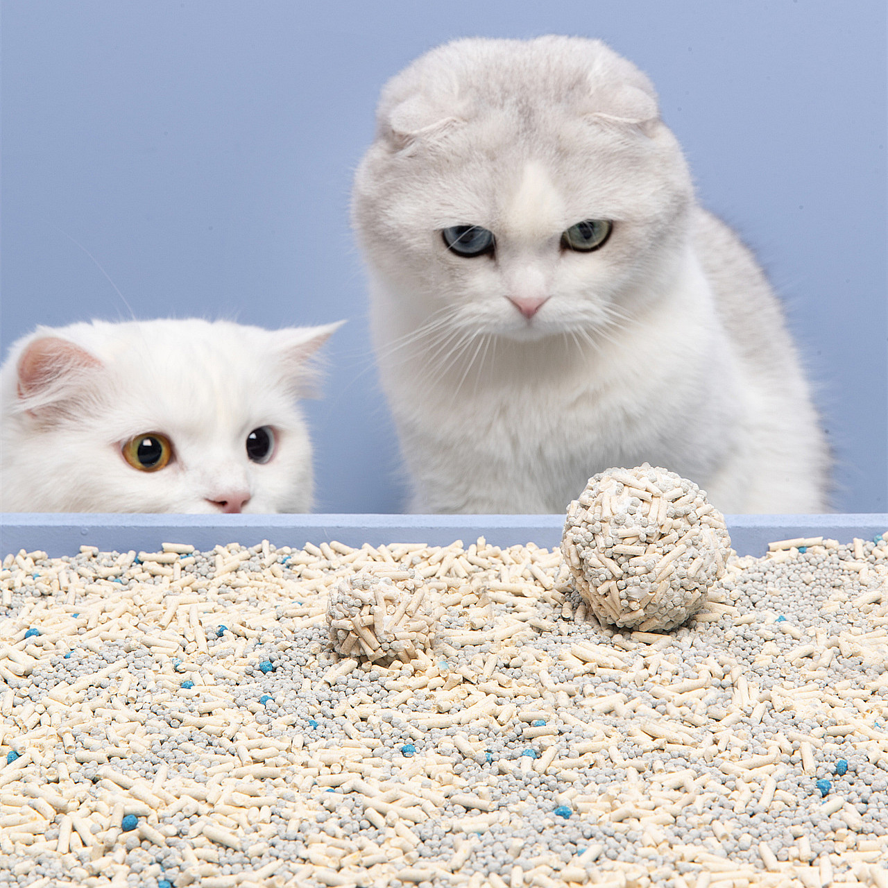 Wholesale of high-quality pet products in bulk, mixed with swollen potato and cat litter