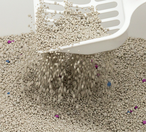 Best selling products 2024 amazon bentonite cat litter with scent cat products bentonite cat
