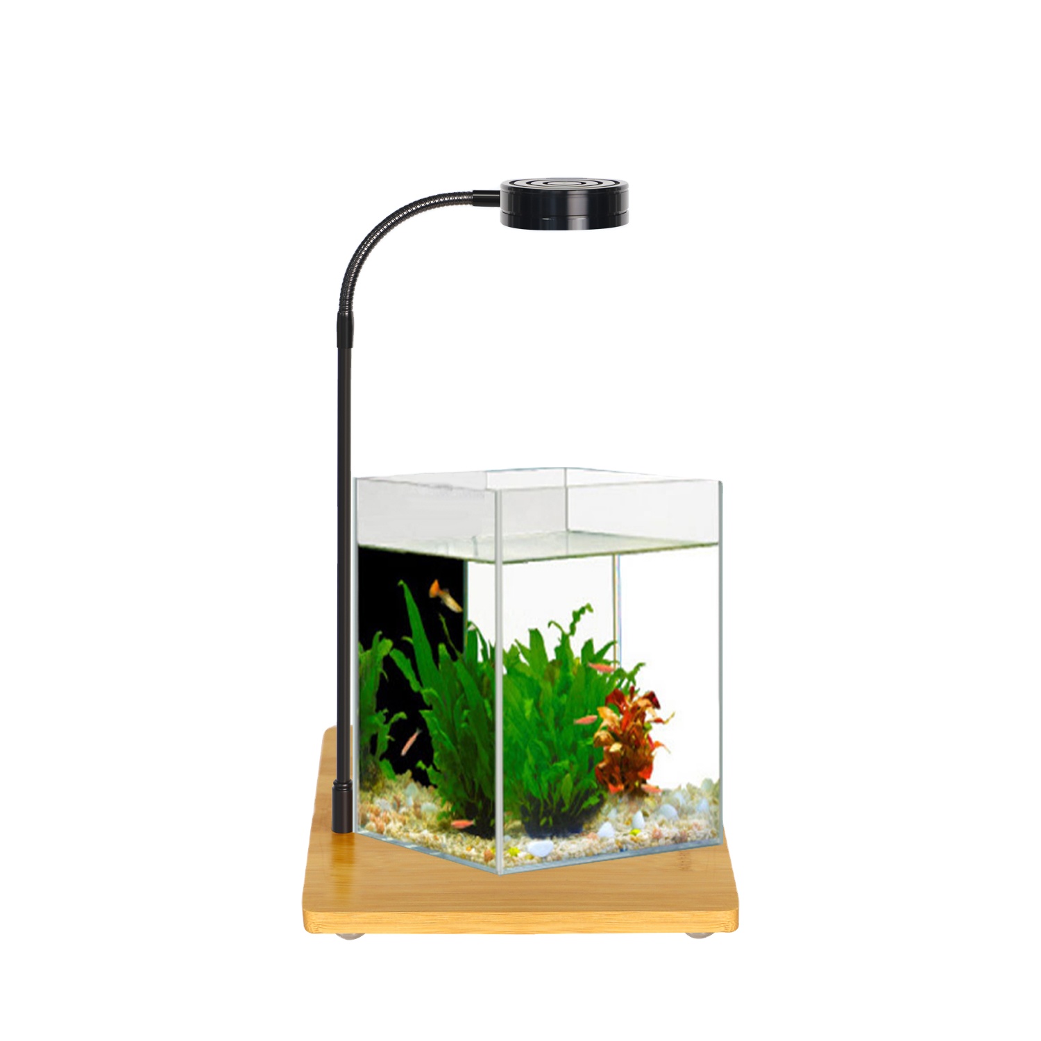 Right Angle Ultra-white Grass Fish Tank Multi-size Aquarium Fish Tank with Factory Direct Selling Price