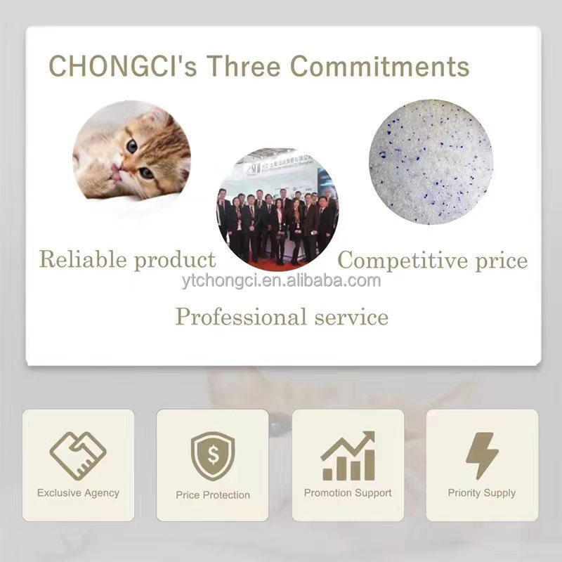 OEM High Quality Bulk Gel Crystal Grade Bentonite Cat Litter Silica 3.8L 1.6KG Various Widely Used Natural Fragrance Clumping