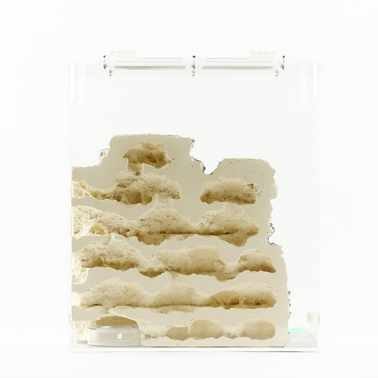 Taiwan Clear Ant Formicarium Plaster Acrylic Box