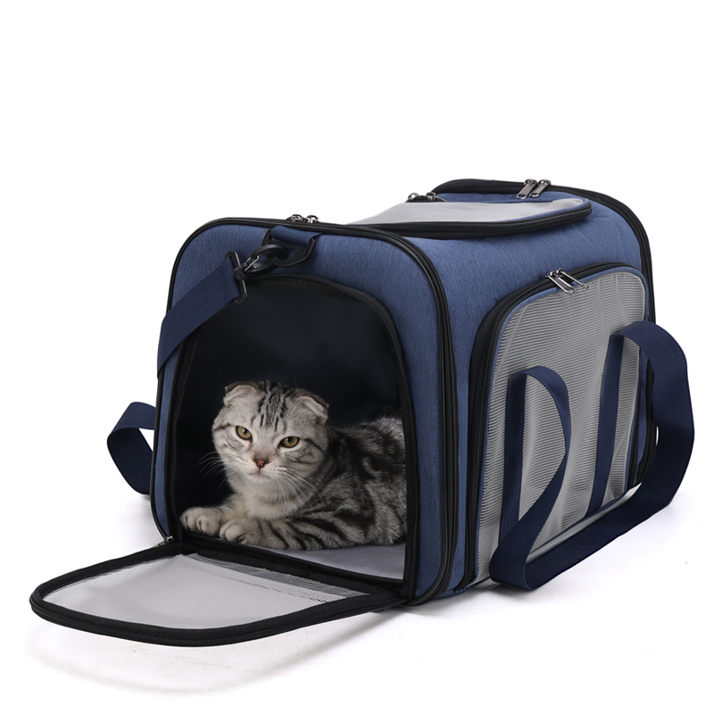 Wholesale Premium Cat Travel Carrier Backpack Hot Selling Pet Carrier for Cat Travel