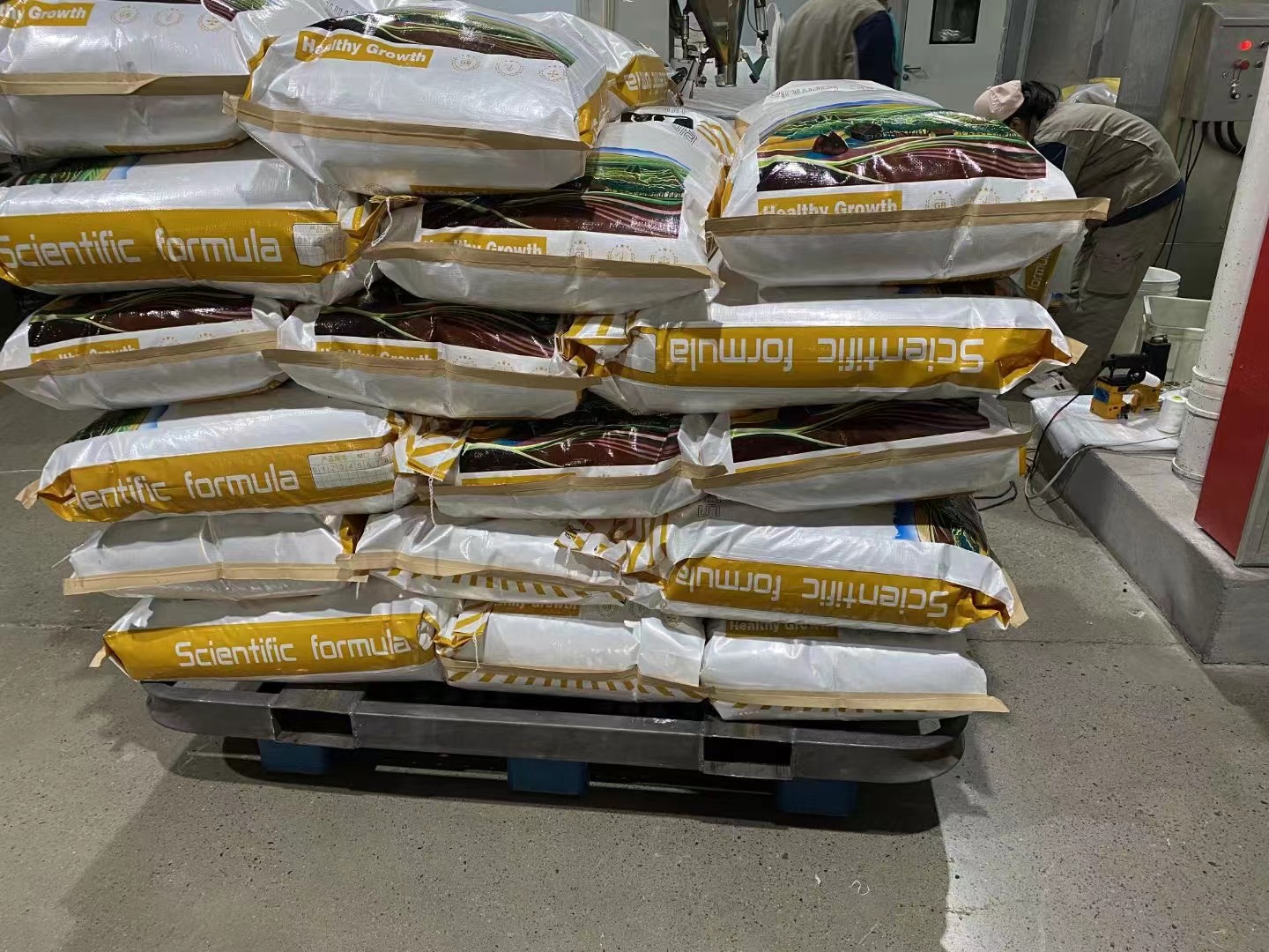 exclusively for India Oem Pet Food Fresh Meat Vegetable High Nutrition Complete Dog Food Vitality