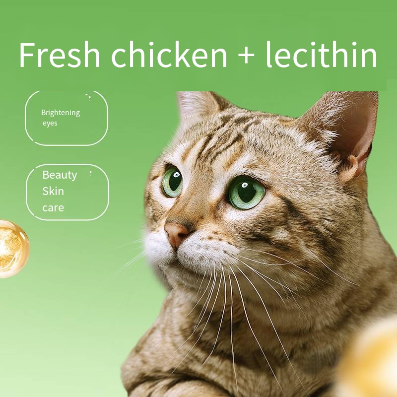 Cat grass teeth cleaning stick gently removes hair balls freeze-dried cat and dog snacks OEM ODM