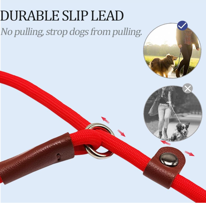 Pet Supplies Cheap P Type Anti-choking Dog Leash Collarless Leash Optional Color 3 in 1 Scarf Pvc DOT Reflective CN ZHE